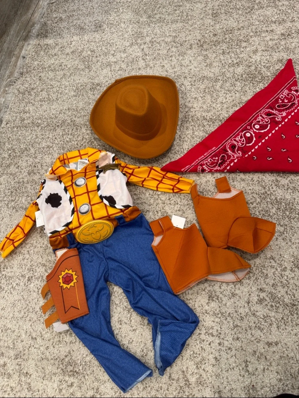 2T Woody Toy Story Halloween Costume - Picture 1 of 4
